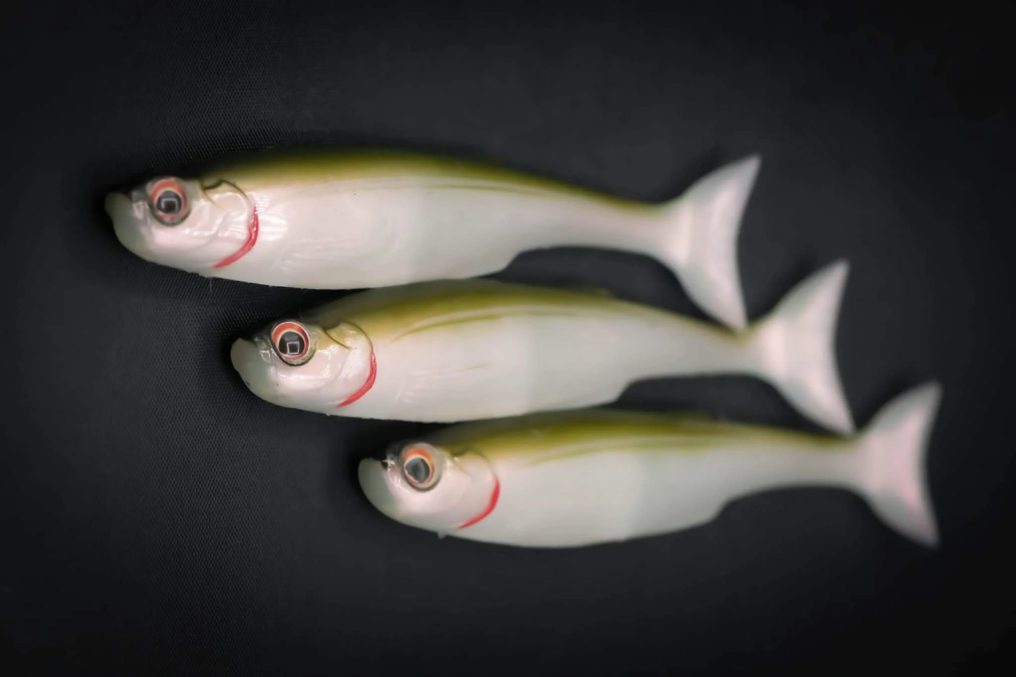 BLOODHAWK 125mm / 5" - Image 12