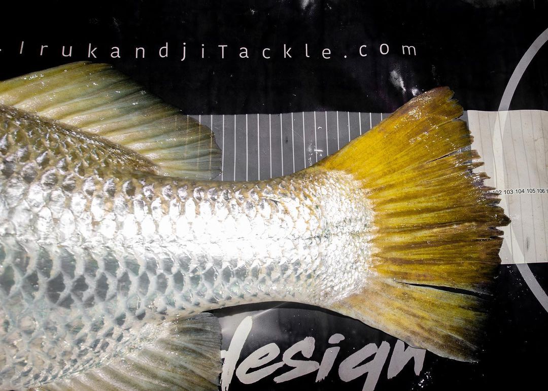 Irukandji Trophy Mat - Image 3