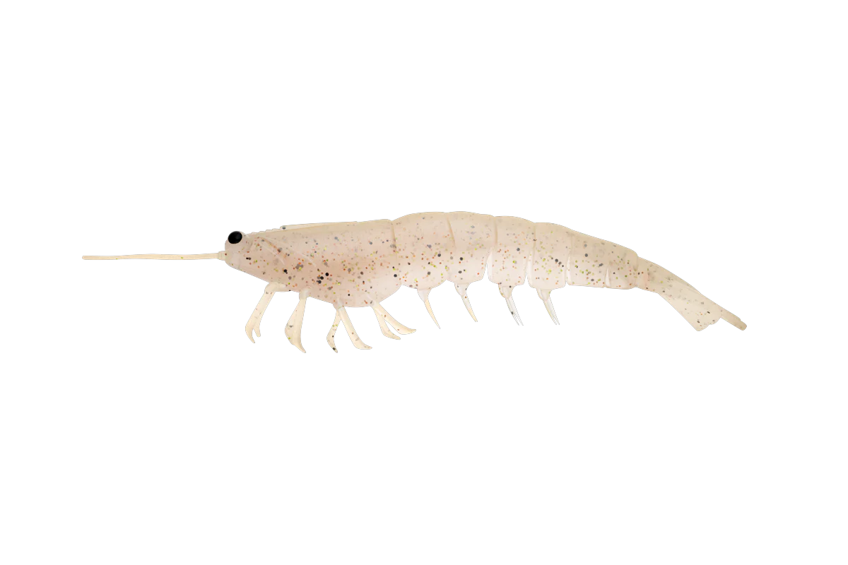 MEGAPRAWN 165mm / 6.5" - Image 13