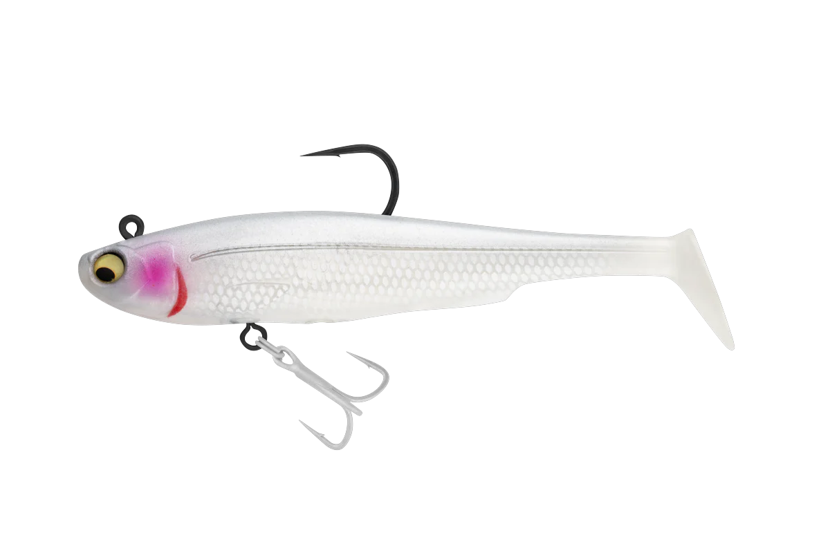 SICARIO DTF Pro & Pro H - Image 3